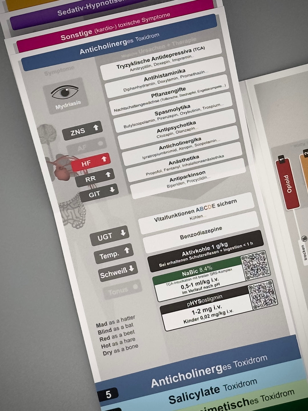 Mediflip Notfallmedizin Intoxikation